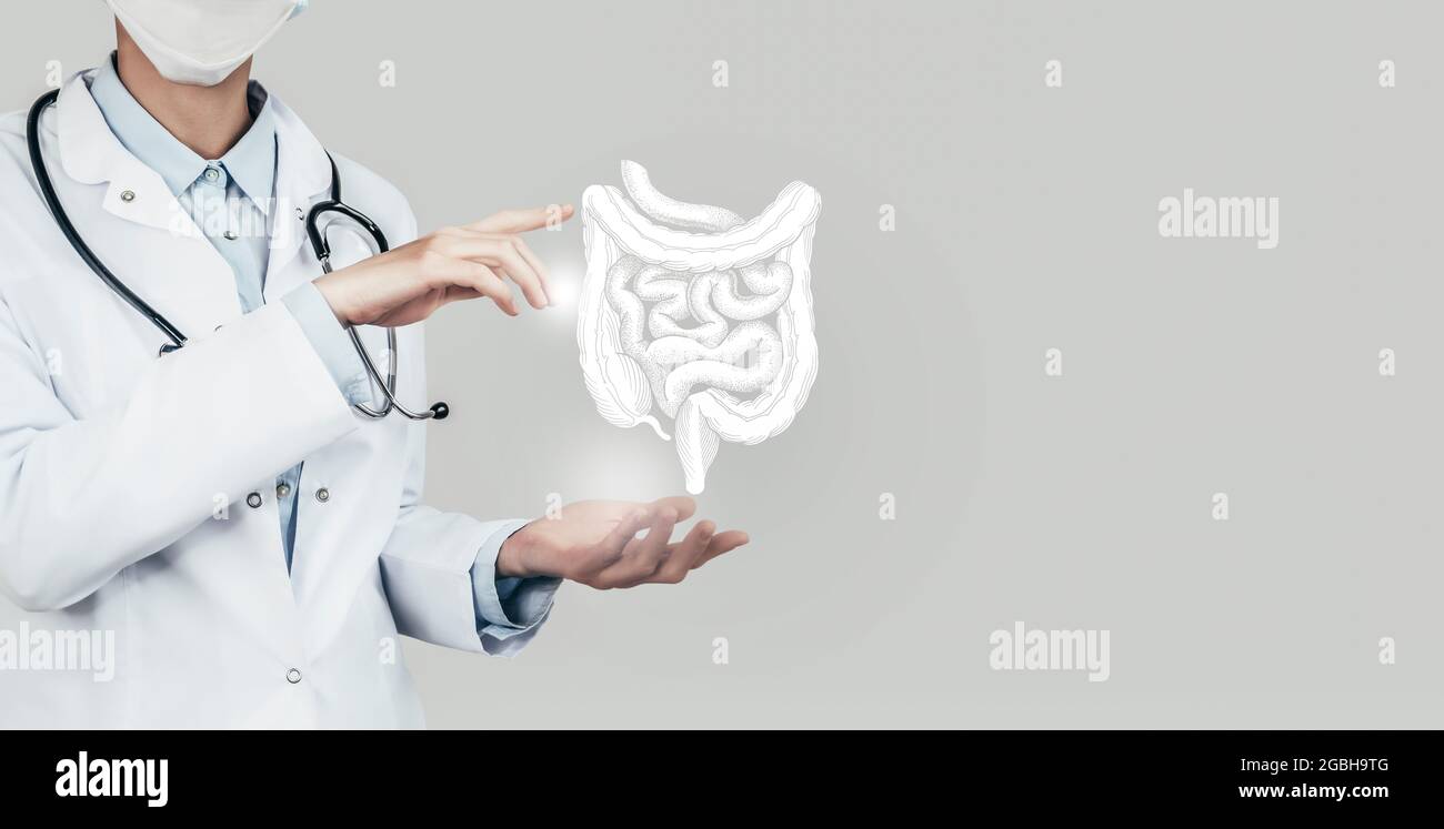 Medico femminile che tiene in mano l'intestino virtuale. Organo umano Handrawn, spazio di copia sul lato destro, colore grigio hdr. Concetto di assistenza ospedaliera sanitaria Foto Stock