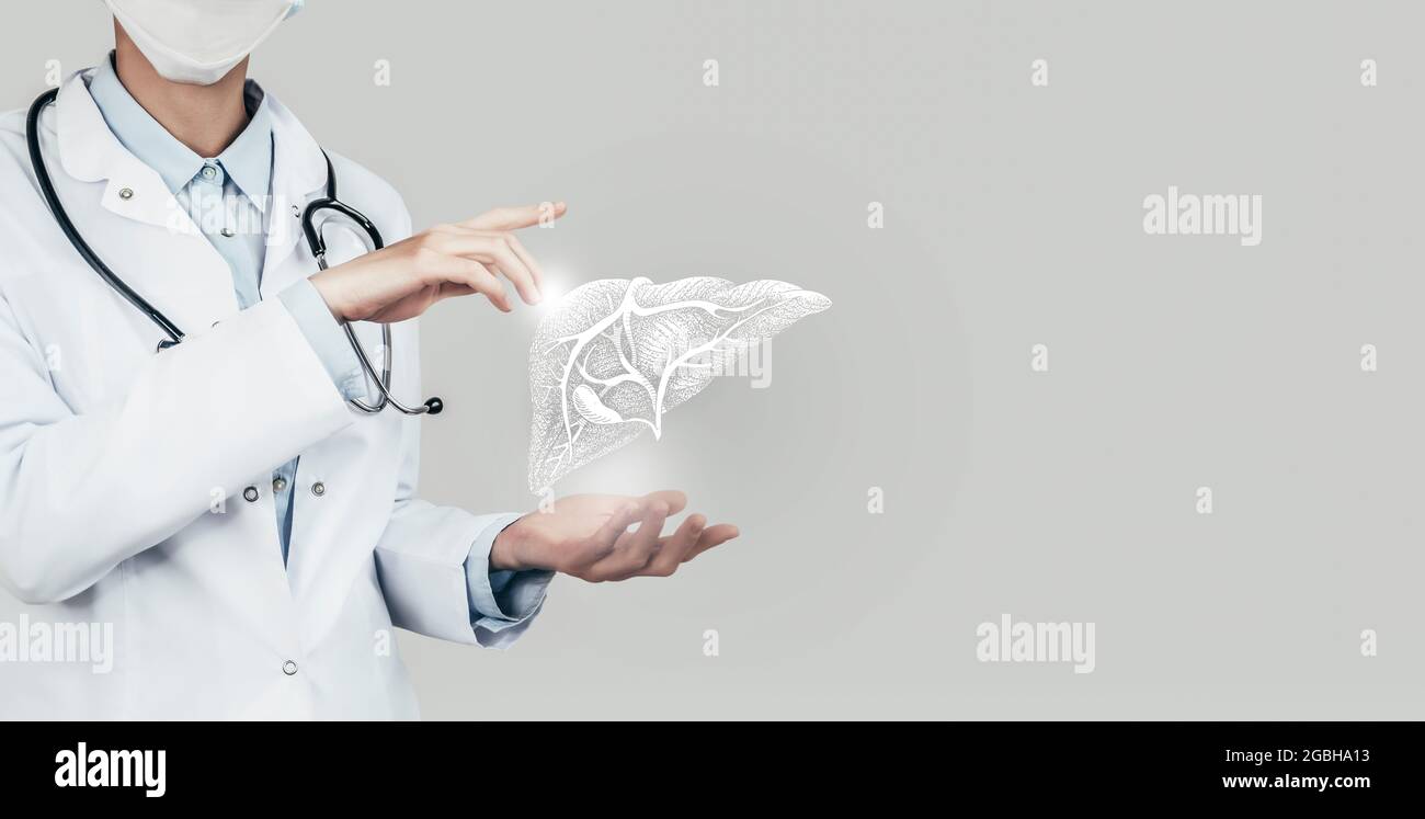 Medico femminile che tiene in mano il fegato virtuale. Organo umano Handrawn, spazio di copia sul lato destro, colore grigio hdr. Tecnologie sanitarie/scientifiche conc Foto Stock