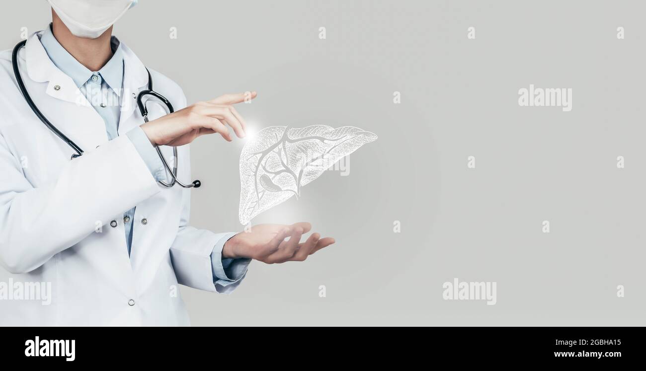 Medico femminile che tiene in mano il fegato virtuale. Organo umano Handrawn, spazio di copia sul lato destro, colore grigio hdr. Tecnologie sanitarie/scientifiche conc Foto Stock