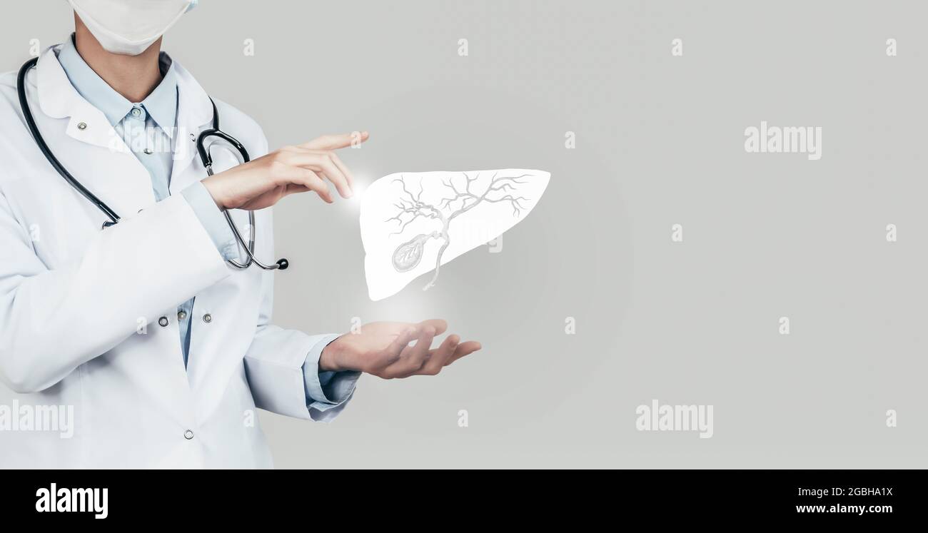 Medico femminile che tiene in mano la vescica di gallina virtuale. Organo umano Handrawn, spazio di copia sul lato destro, colore grigio hdr. Sanità / tecnologia scientifica Foto Stock