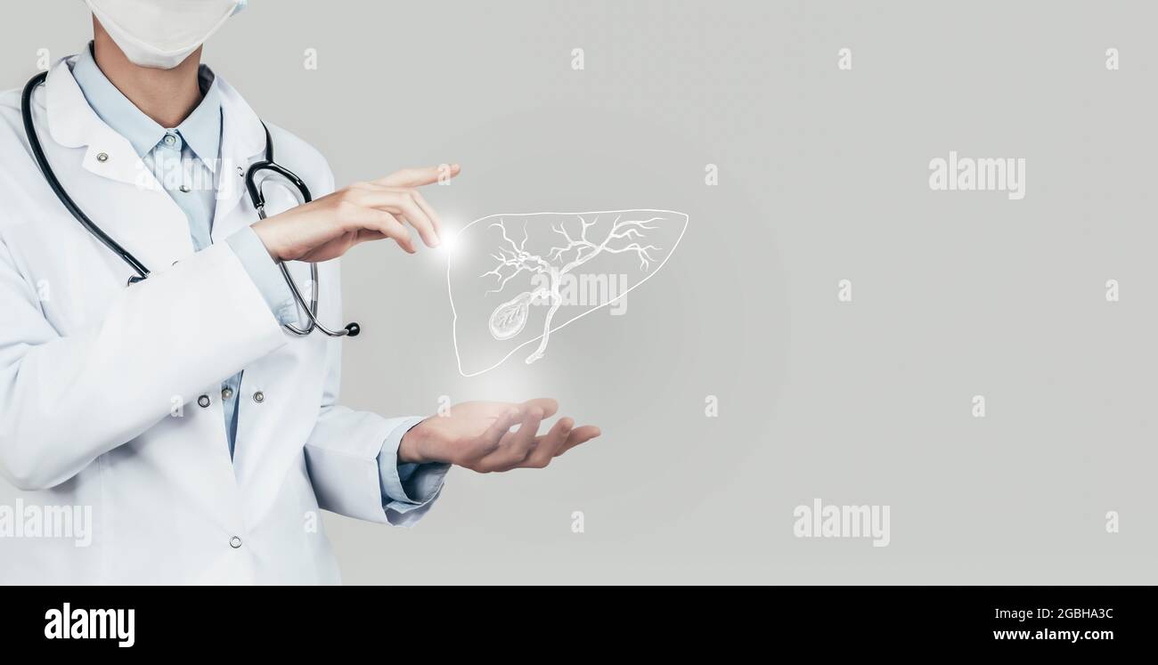 Medico femminile che tiene in mano la vescica di gallina virtuale. Organo umano Handrawn, spazio di copia sul lato destro, colore grigio hdr. Sanità / tecnologia scientifica Foto Stock