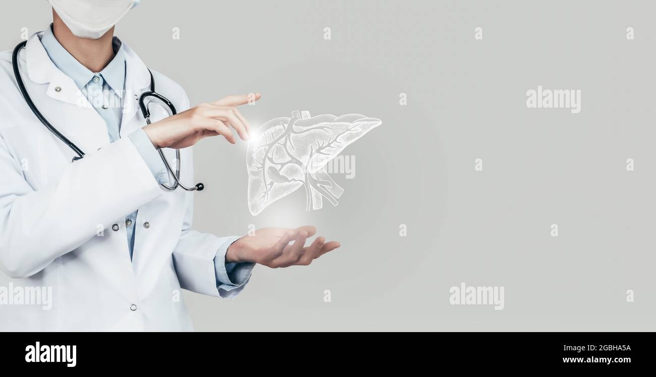 Medico femminile che tiene in mano il fegato virtuale. Organo umano Handrawn, spazio di copia sul lato destro, colore grigio hdr. Tecnologie sanitarie/scientifiche conc Foto Stock