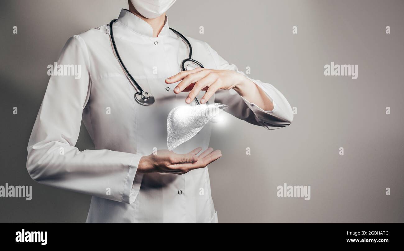 Dottore femminile che tiene in mano un disegno volumetrico virtuale del fegato. Organo umano Handrawn, spazio di copia sul lato destro, colore grigio hdr. Sanità / scien Foto Stock