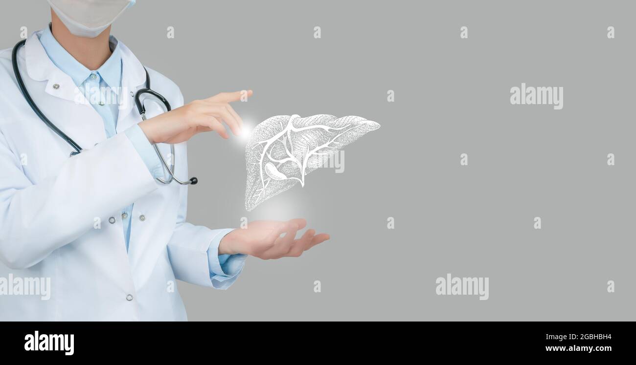 Medico femminile che tiene in mano il fegato virtuale. Organo umano Handrawn, spazio di copia sul lato destro, colori di foto grezzi. Concetto di assistenza ospedaliera sanitaria Foto Stock