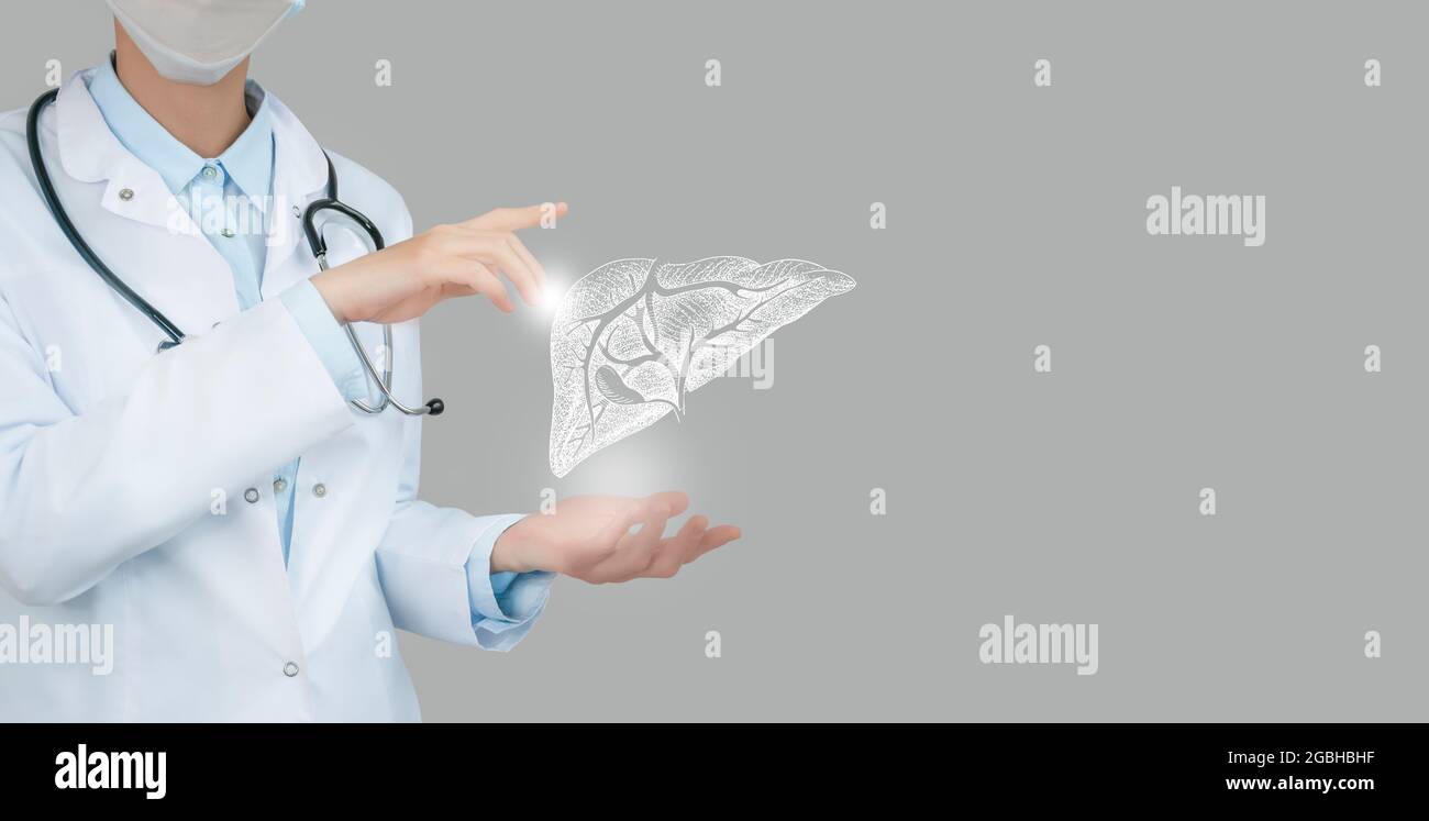 Medico femminile che tiene in mano il fegato virtuale. Organo umano Handrawn, spazio di copia sul lato destro, colori di foto grezzi. Concetto di assistenza ospedaliera sanitaria Foto Stock