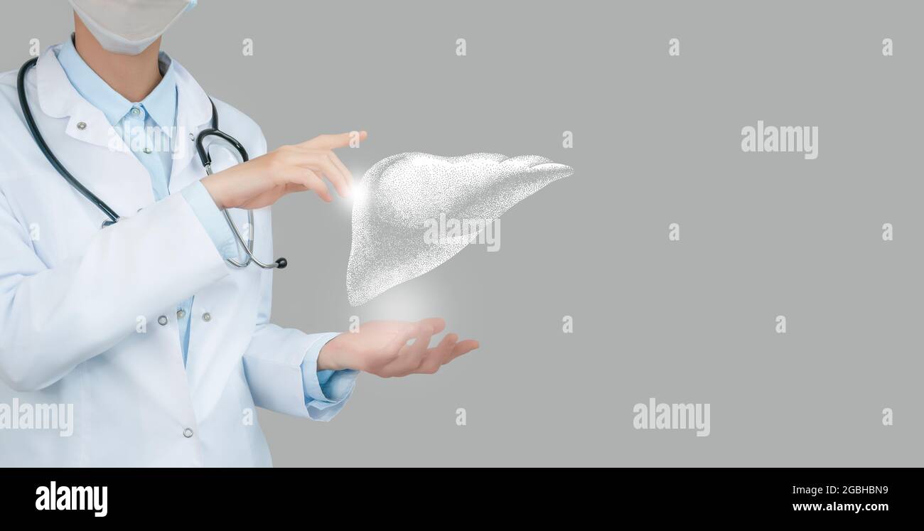 Dottore femminile che tiene in mano un disegno volumetrico virtuale del fegato. Organo umano Handrawn, spazio di copia sul lato destro, colori di foto grezzi. Ospedale sanitario Foto Stock