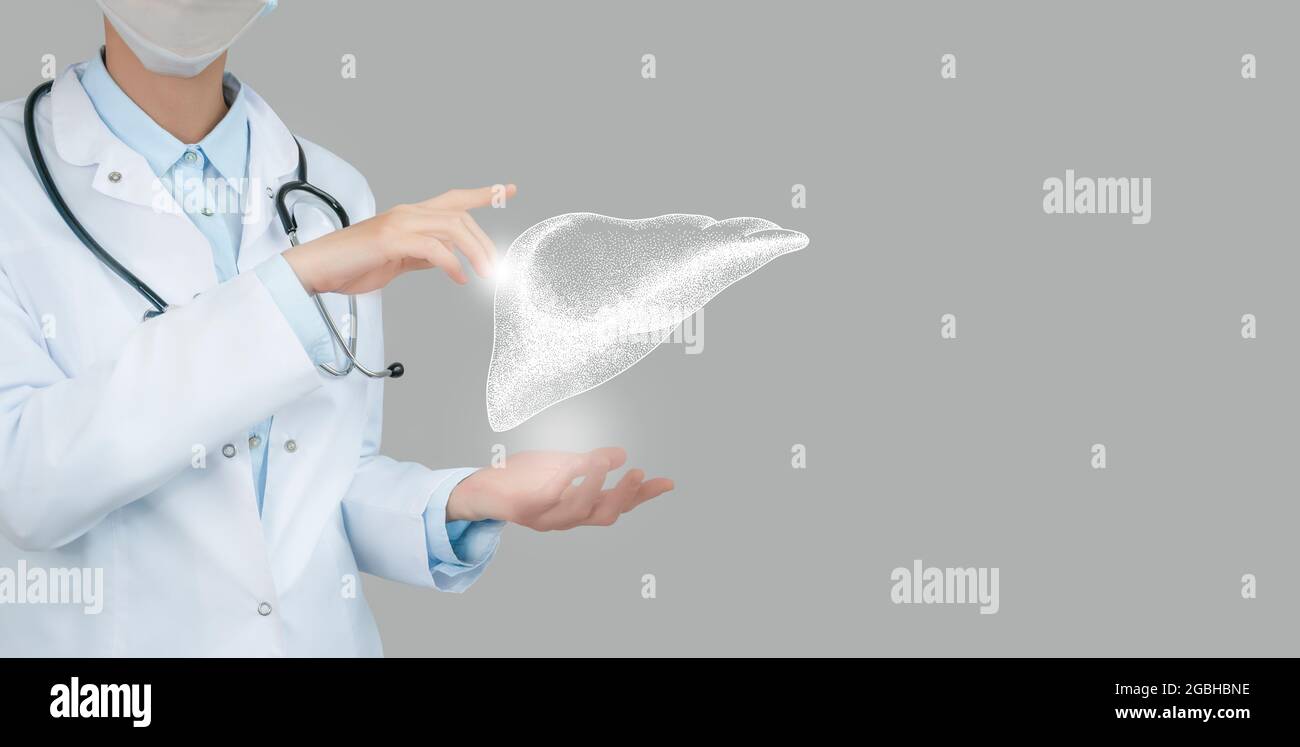 Dottore femminile che tiene in mano un disegno volumetrico virtuale del fegato. Organo umano Handrawn, spazio di copia sul lato destro, colori di foto grezzi. Ospedale sanitario Foto Stock