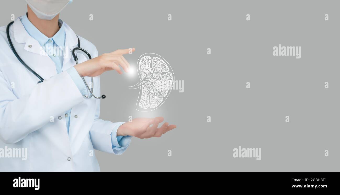 Dottore femminile che tiene in mano un disegno schizzoso virtuale della milza. Organo umano Handrawn, spazio di copia sul lato destro, colori di foto grezzi. Ospedale sanitario Foto Stock
