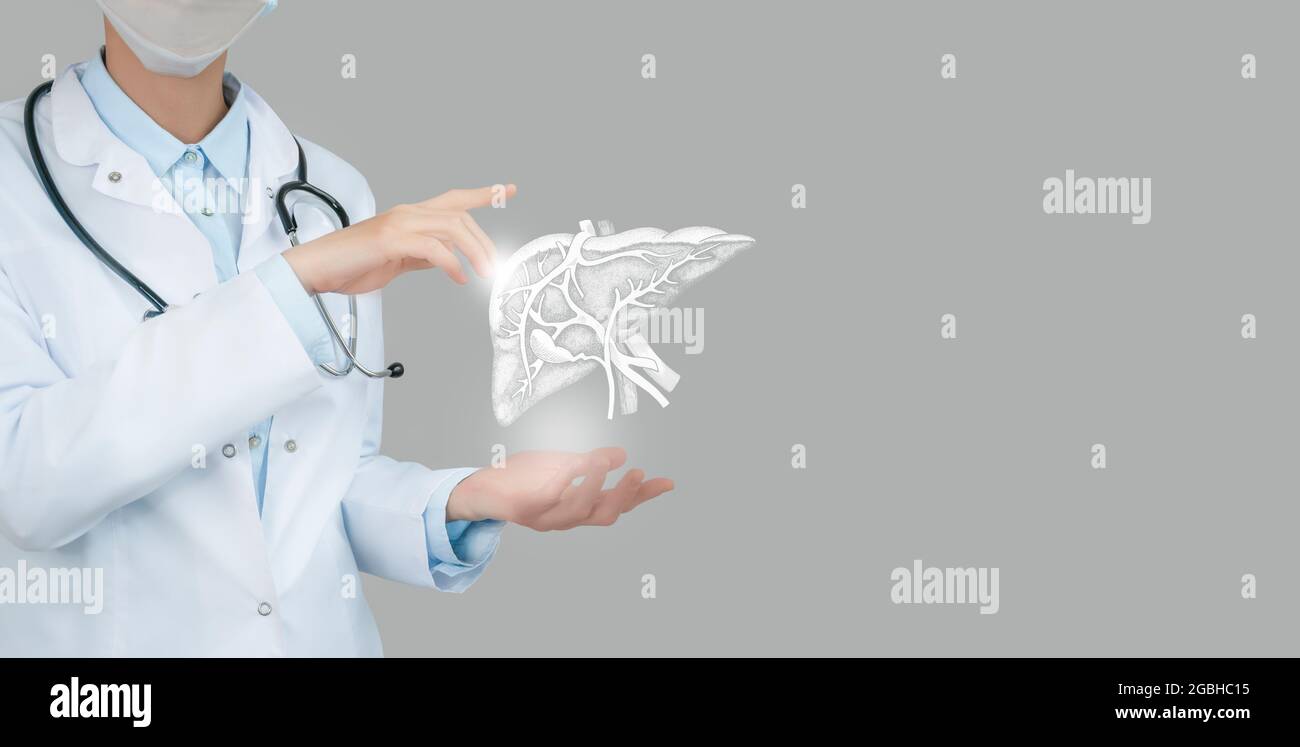 Medico femminile che tiene in mano il fegato virtuale. Organo umano Handrawn, spazio di copia sul lato destro, colori di foto grezzi. Concetto di assistenza ospedaliera sanitaria Foto Stock