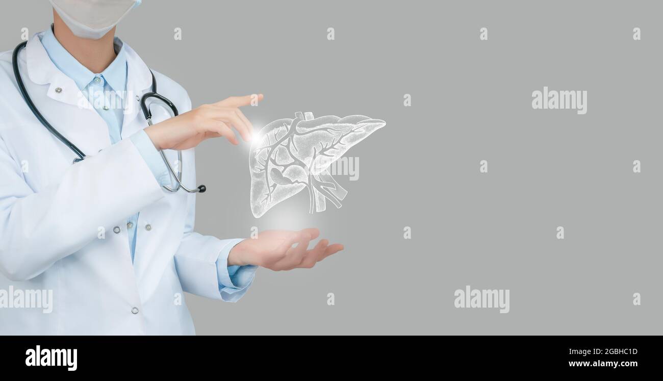 Medico femminile che tiene in mano il fegato virtuale. Organo umano Handrawn, spazio di copia sul lato destro, colori di foto grezzi. Concetto di assistenza ospedaliera sanitaria Foto Stock
