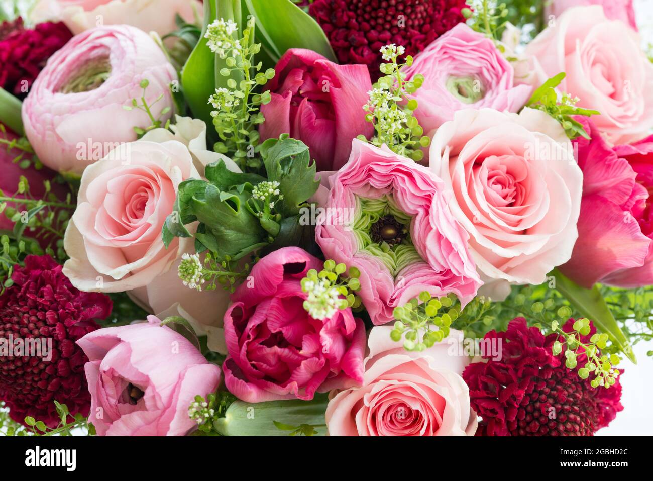 Botanica, bouquet primaverile in rosa con ranunculus, Ranunculus Hybride, PER IL SALUTO/CARTOLINA-USO IN GERM.SPEAK.C ALCUNE RESTRIZIONI POSSONO APPLICARSI Foto Stock
