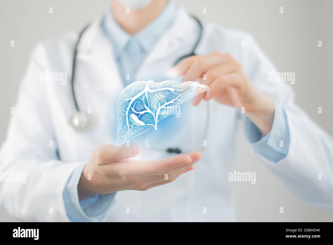 Medico femminile che tiene in mano il fegato virtuale. Organo umano Handrawn, foto sfocata, colori grezzi. Foto di stock del concetto di assistenza sanitaria ospedaliera Foto Stock