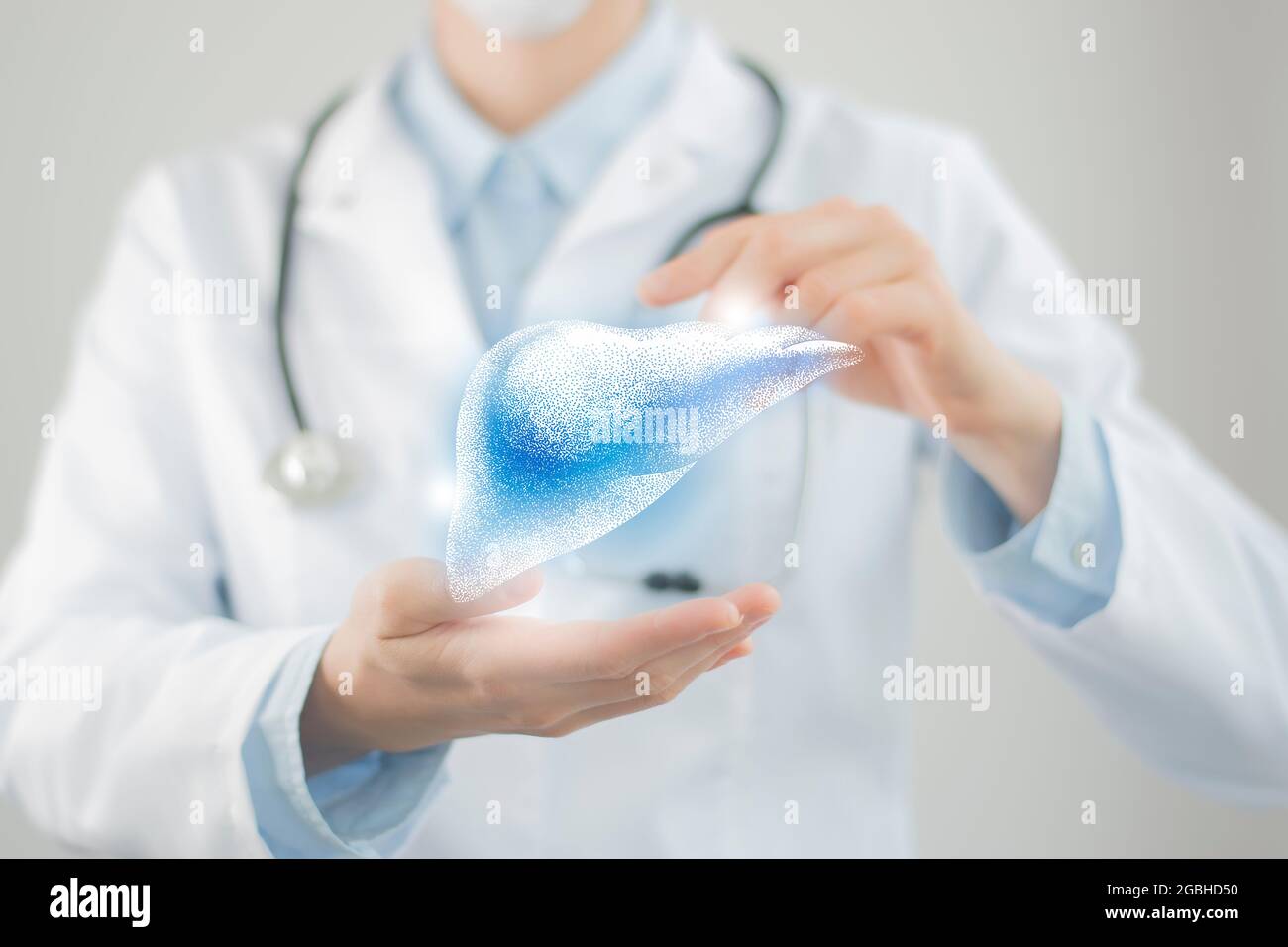 Dottore femminile che tiene in mano un disegno volumetrico virtuale del fegato. Organo umano Handrawn, foto sfocata, colori grezzi. Concetto di assistenza ospedaliera sanitaria Foto Stock