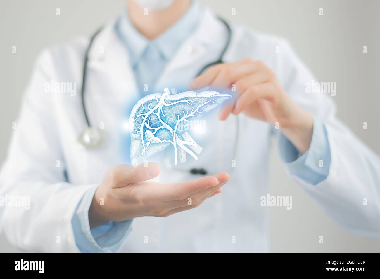Medico femminile che tiene in mano il fegato virtuale. Organo umano Handrawn, foto sfocata, colori grezzi. Foto di stock del concetto di assistenza sanitaria ospedaliera Foto Stock