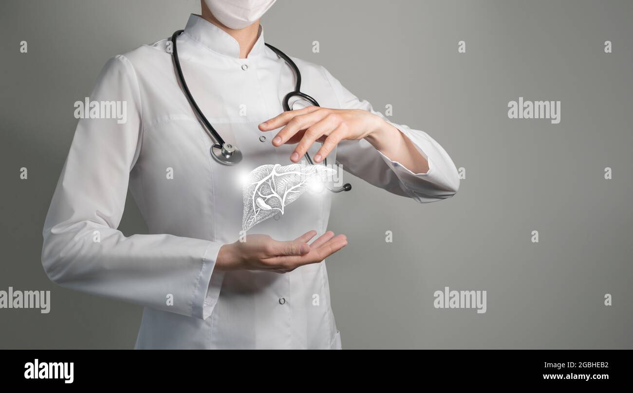 Medico femminile che tiene in mano il fegato virtuale. Organo umano Handrawn, spazio di copia sul lato destro, colori di foto grezzi. Concetto di assistenza ospedaliera sanitaria Foto Stock