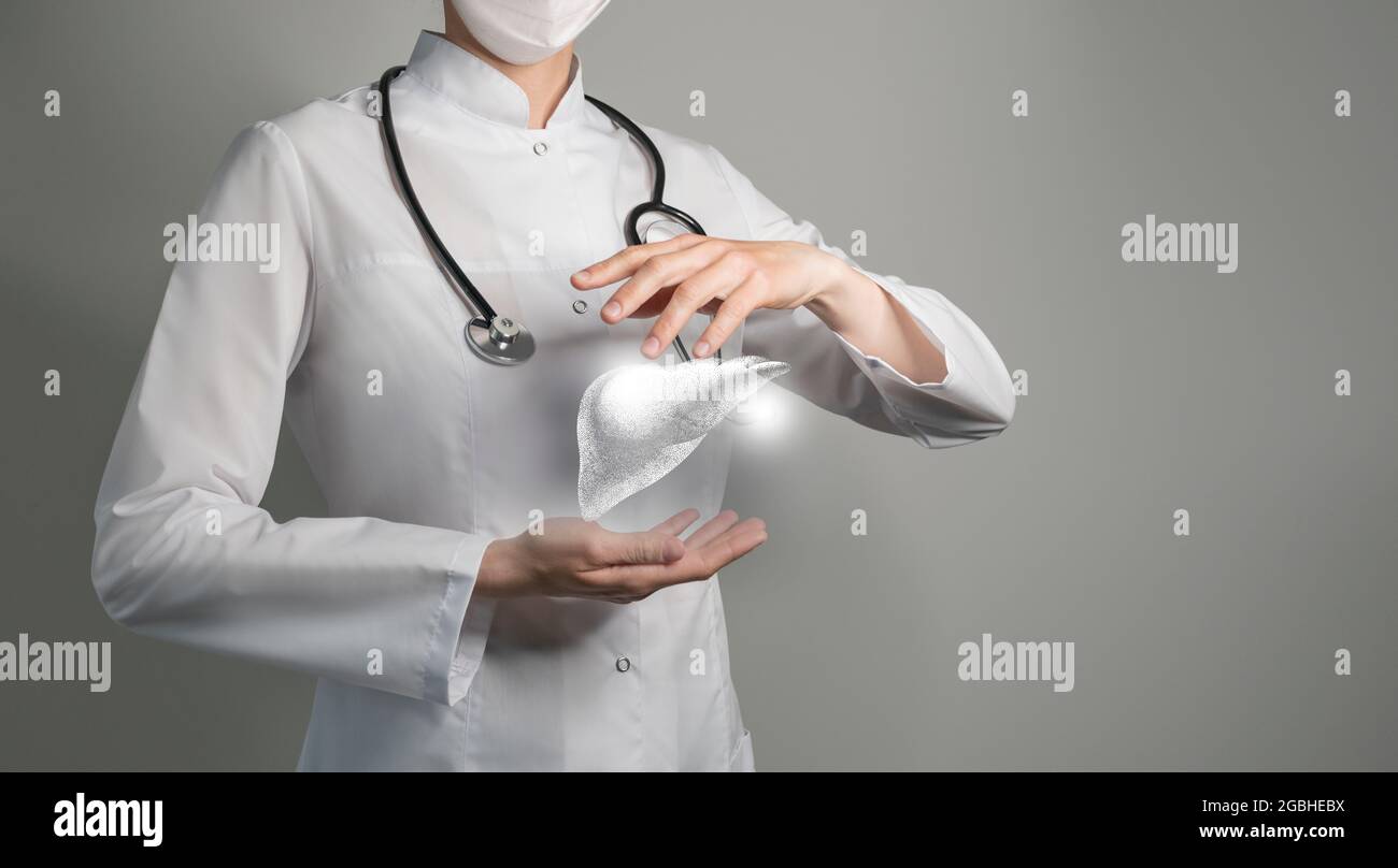 Dottore femminile che tiene in mano un disegno volumetrico virtuale del fegato. Organo umano Handrawn, spazio di copia sul lato destro, colori di foto grezzi. Ospedale sanitario Foto Stock