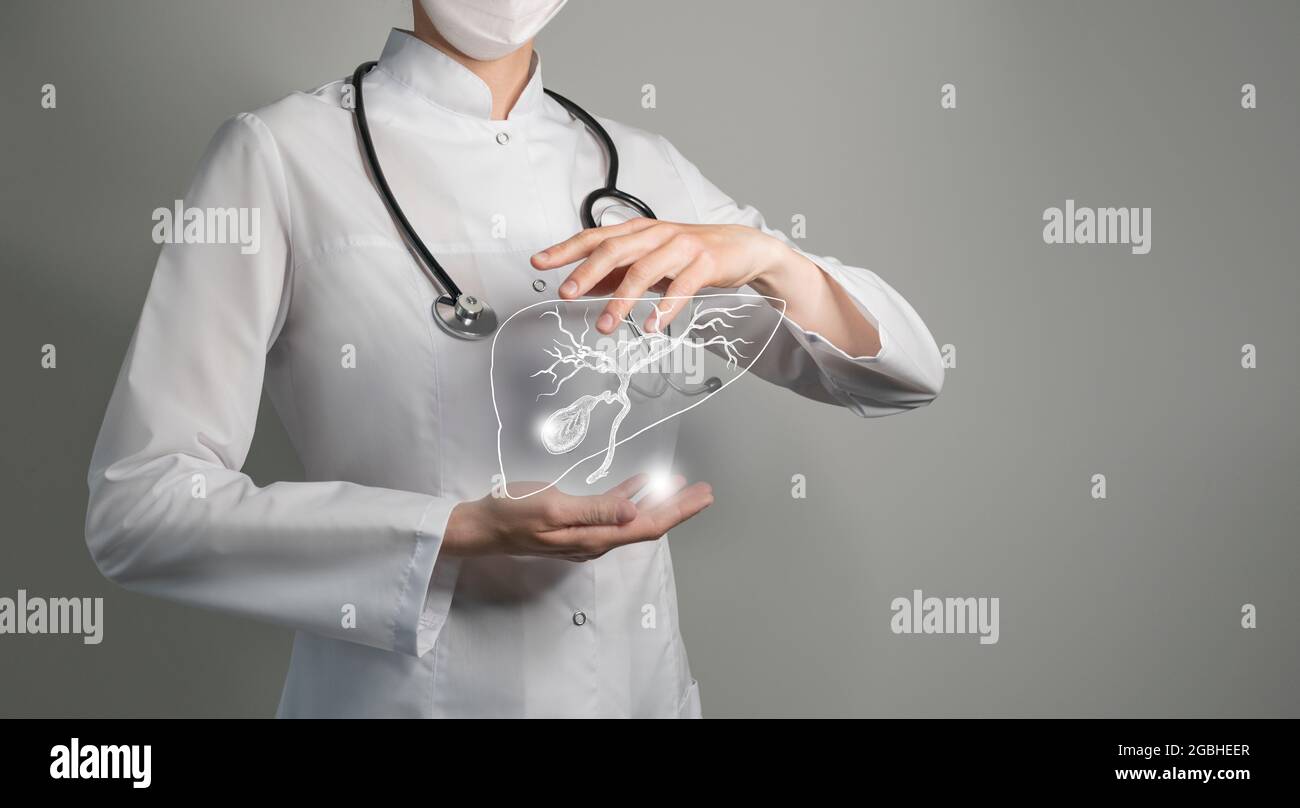 Medico femminile che tiene in mano la vescica di gallina virtuale. Organo umano Handrawn, spazio di copia sul lato destro, colori di foto grezzi. Servizio sanitario ospedaliero conc Foto Stock