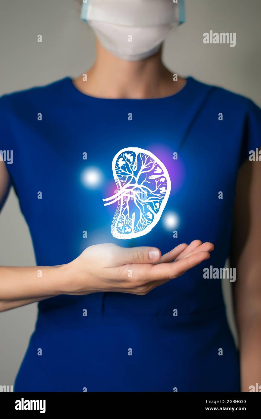 Donna in abiti blu con disegno virtuale di schizzo della milza in mano. Handrawn organo umano, disintossicazione e assistenza sanitaria, assistenza sanitaria ospedale conce Foto Stock