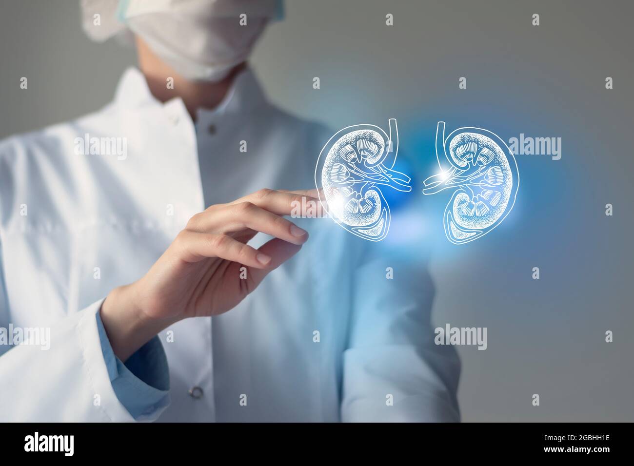 Il medico femminile tocca i reni virtuali in mano. Foto sfocata, organo umano lavorato a mano, evidenziato in blu come simbolo di guarigione. Assistenza sanitaria ospedaliera Foto Stock