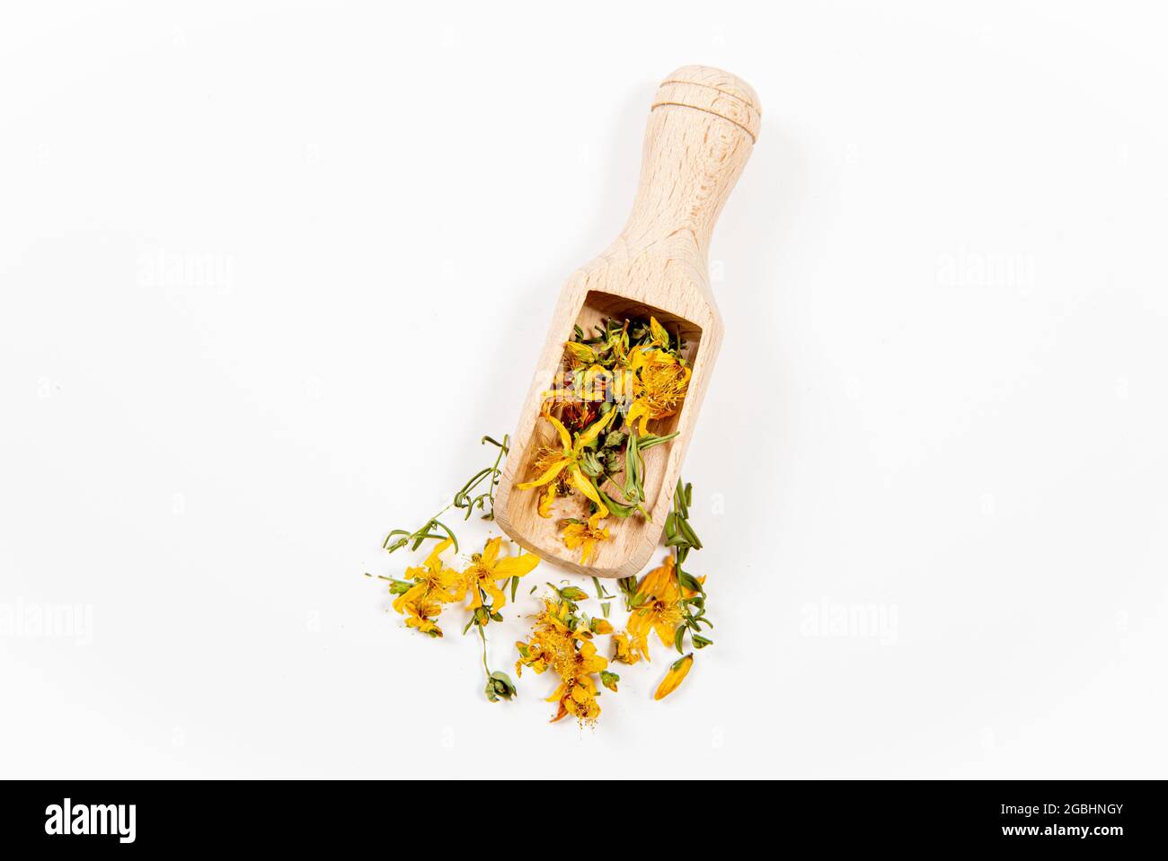 Hypericum perforatum essiccato noto come perforare fiori di piante di erba di San Giovanni e foglie su cucchiaio di legno e sparsi intorno su sfondo bianco. Med di erbe Foto Stock