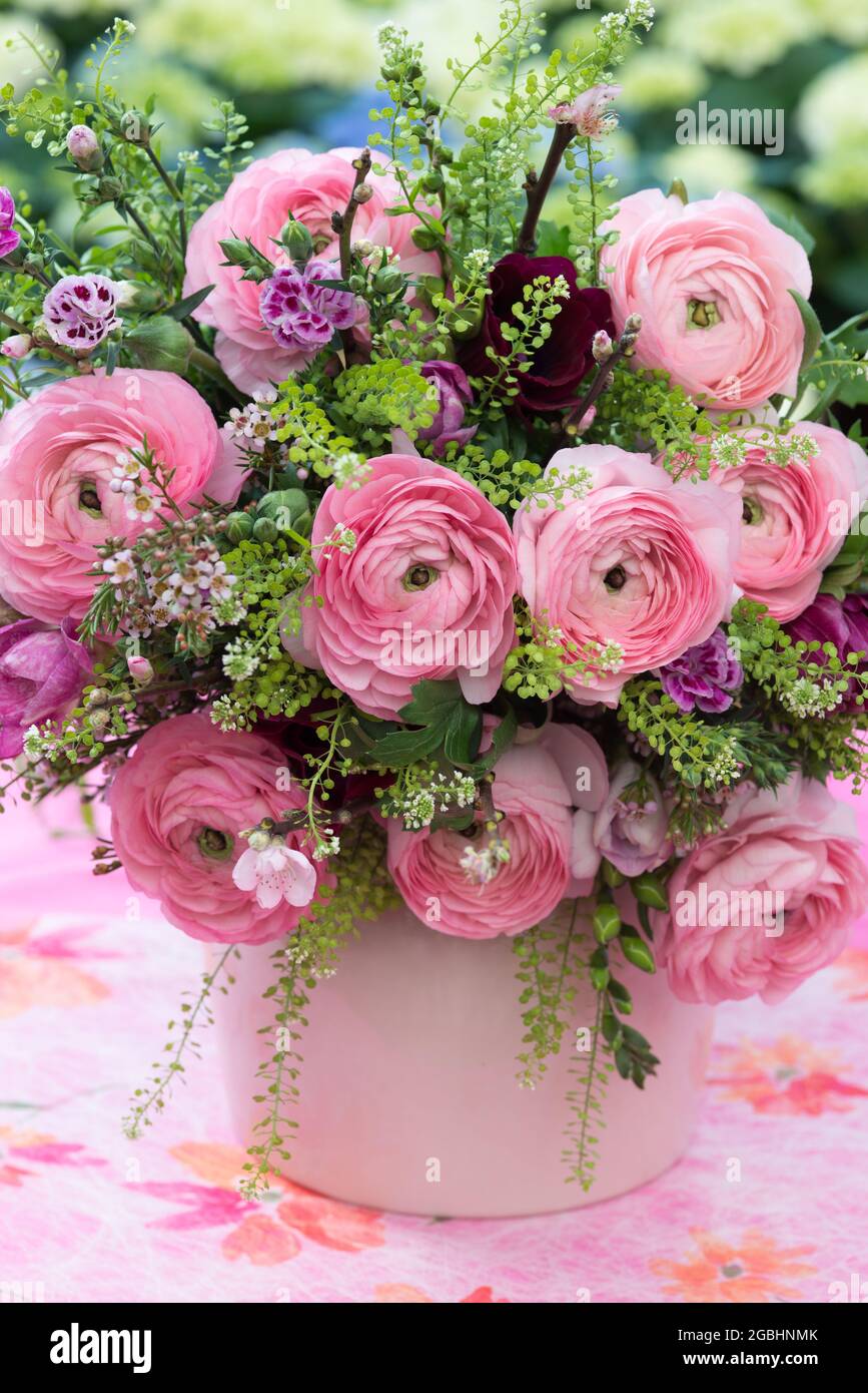 Botanica, bouquet primaverile in rosa con ranunculus, PER IL SALUTO/CARTOLINA-USO IN GERM.SPEAK.C ALCUNE RESTRIZIONI POSSONO APPLICARSI Foto Stock
