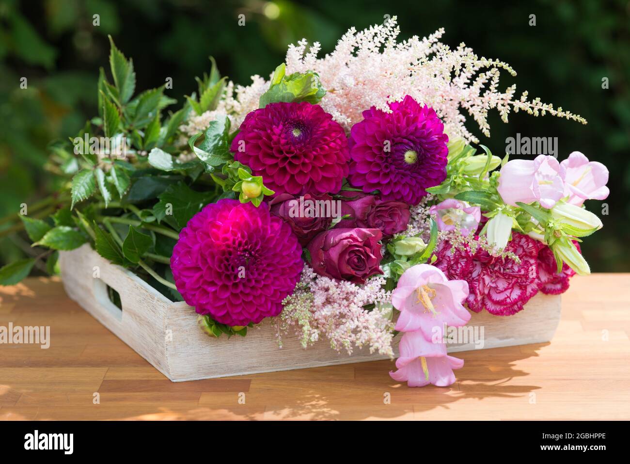 Botanica, disposizione dei fiori su vassoio di legno, PER IL SALUTO/CARTOLINA-USO IN GERM.SPEAK.C ALCUNE RESTRIZIONI POSSONO APPLICARSI Foto Stock