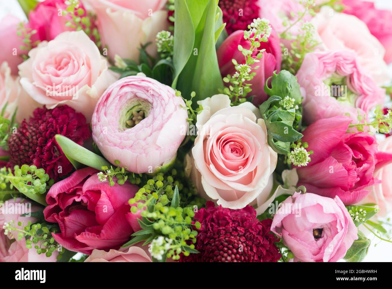 Botanica, bouquet primaverile in rosa con ranunculus, Ranunculus Hybride, PER IL SALUTO/CARTOLINA-USO IN GERM.SPEAK.C ALCUNE RESTRIZIONI POSSONO APPLICARSI Foto Stock
