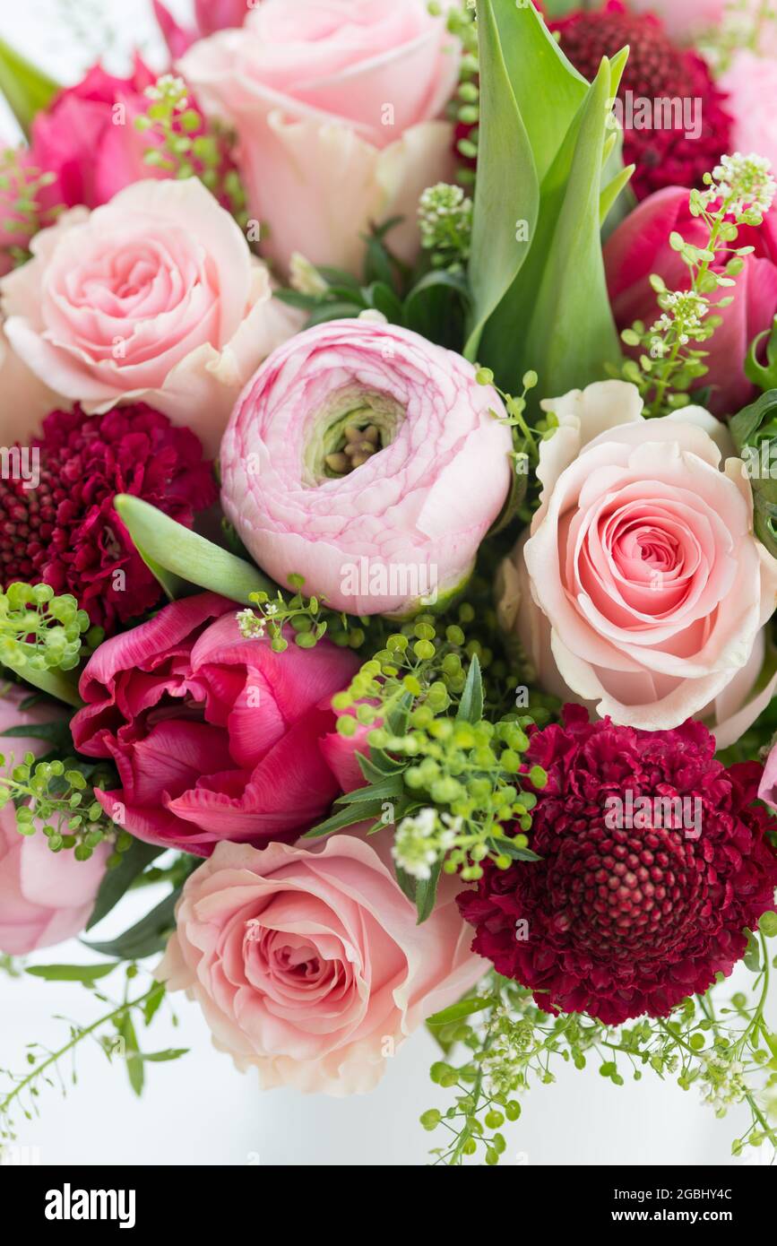 Botanica, bouquet primaverile in rosa con ranunculus, Ranunculus Hybride, PER IL SALUTO/CARTOLINA-USO IN GERM.SPEAK.C ALCUNE RESTRIZIONI POSSONO APPLICARSI Foto Stock