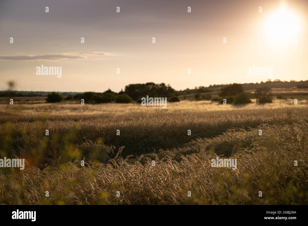 La bellissima natura Foto Stock
