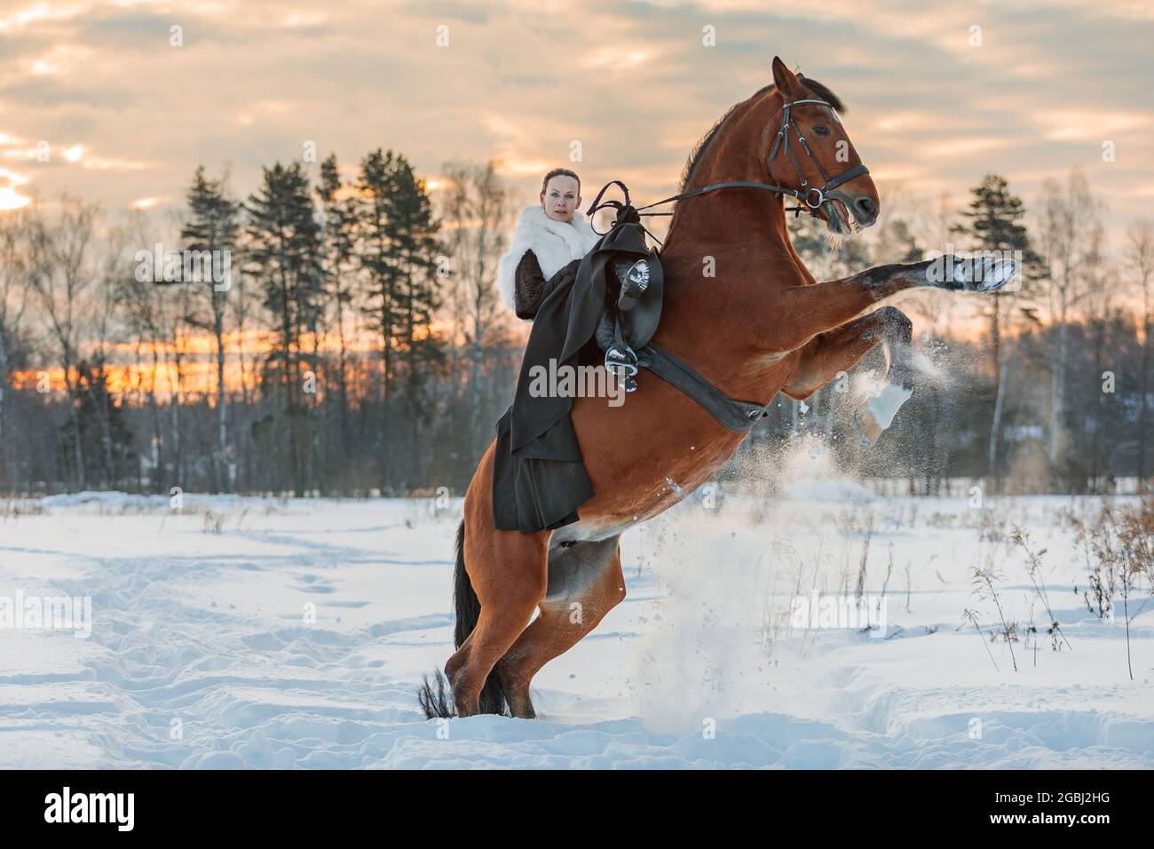 Una ragazza in un mantello bianco cavalca un cavallo marrone in inverno. Ora d'oro, sole tramontante. Il cavallo si alza. Mosca, Russia 22 febbraio 2021 Foto Stock