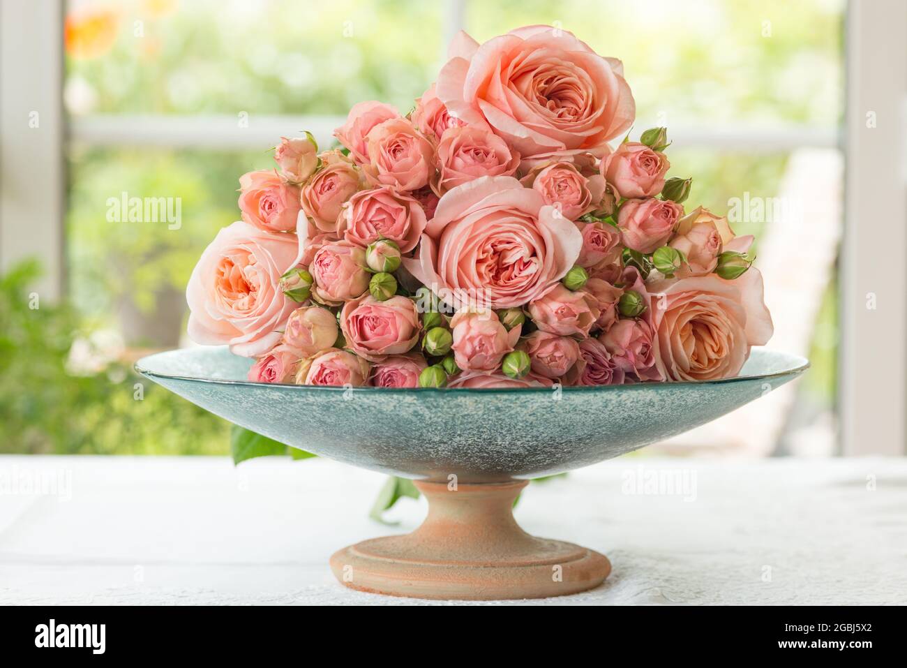 Botanica, rose rosa su recipiente di vetro, Rosa Hybride, PER IL SALUTO/CARTOLINA-USO IN GERM.SPEAK.C ALCUNE RESTRIZIONI POSSONO APPLICARSI Foto Stock