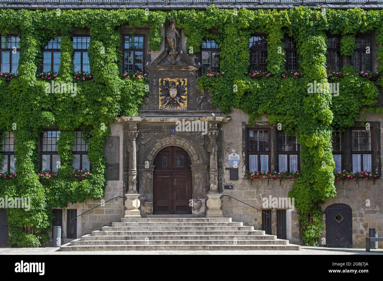 La facciata del municipio gotico di Quedlinburg è Sopravcrescita con Ivy Foto Stock