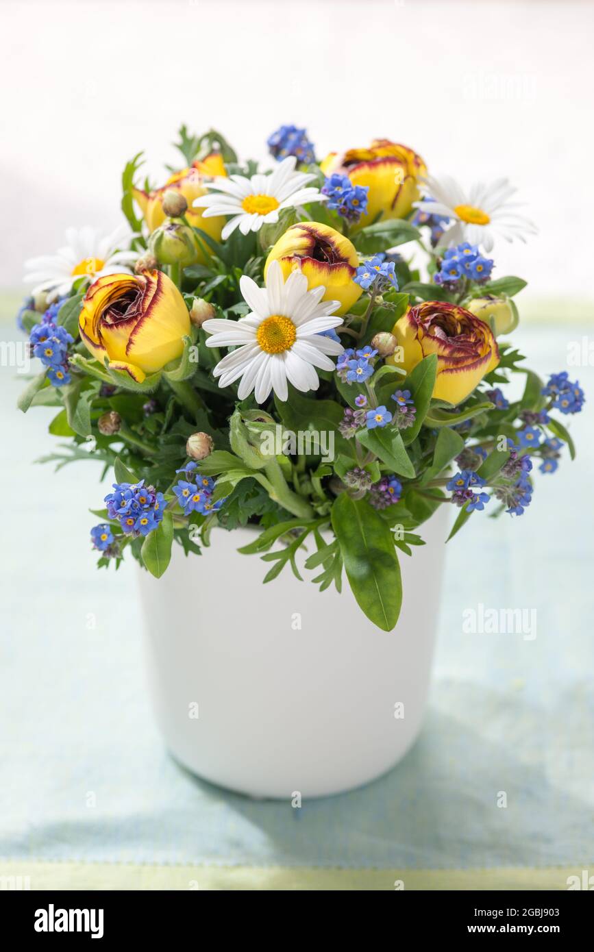Botanica, bouquet primaverile in blu e giallo, Agyranthemum frutescens, PER IL SALUTO/CARTOLINA-USO IN GERM.SPEAK.C ALCUNE RESTRIZIONI POSSONO APPLICARSI Foto Stock