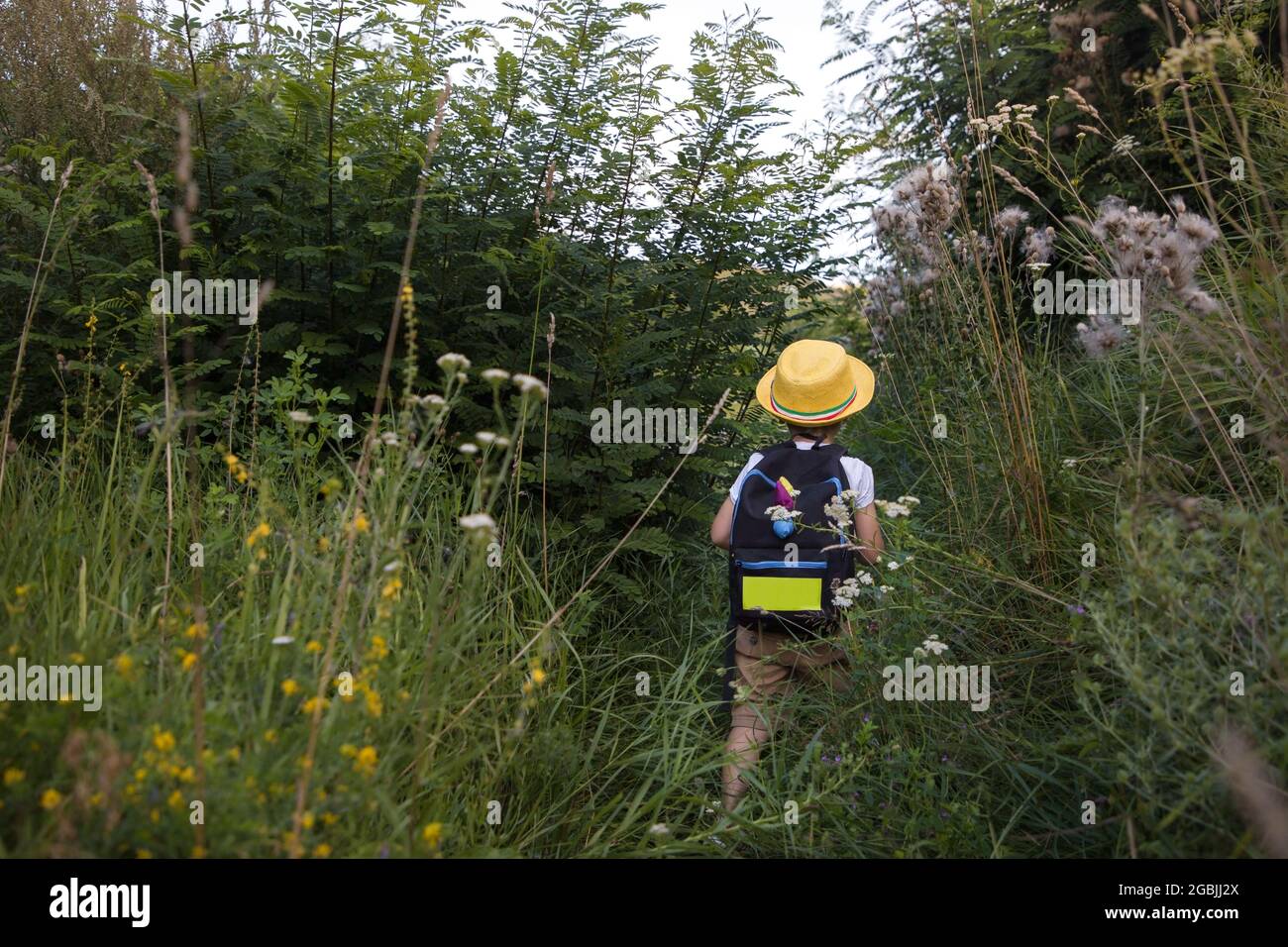 un ragazzo irriconoscibile con lo zaino di un bambino cammina tra le alte erbe. Avventure, attività familiari, interessante infanzia, Little explorer. Salute Foto Stock