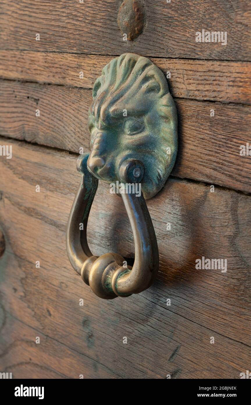 Porta in ottone respingente con Lion figura. Foto Stock