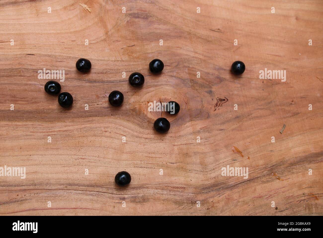 Ciliegie nere selvatiche mature su una lastra di legno nero selvatico di ciliegia Foto Stock