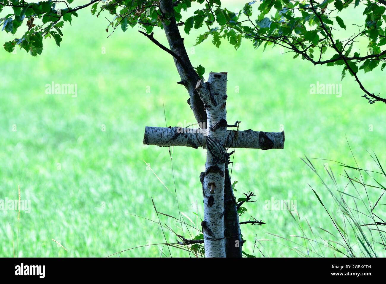Vienna, Austria. Croce di legno di betulla al cimitero centrale di Vienna Foto Stock