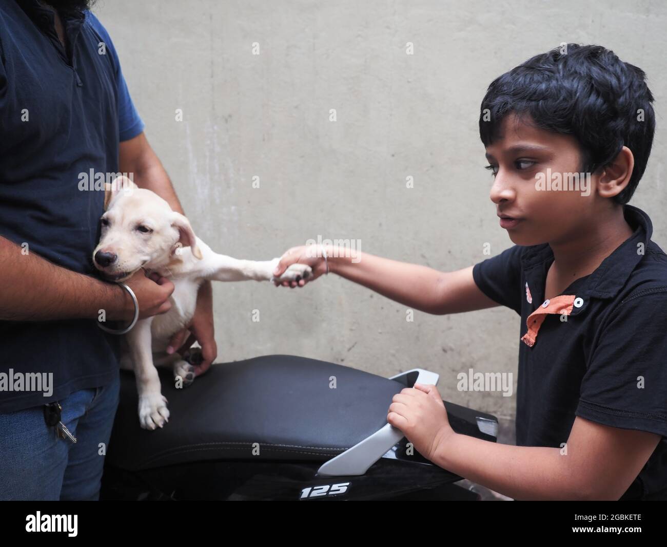 KOLKATA, INDIA - 02 agosto 2021: Il bel cane dà una scossa al suo padrone. Carino ragazzo nero con capelli ricci sorride al suo animale domestico e tiene la sua zampa con Foto Stock