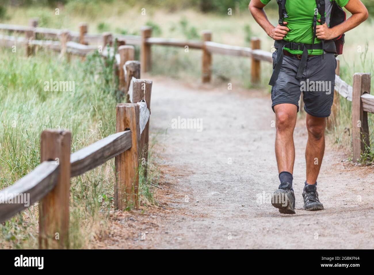 Escursionista con zaino a piedi su sentiero escursionistico in boschi natura. Raccolto delle gambe dell'uomo con le scarpe sui viaggi estivi Foto Stock