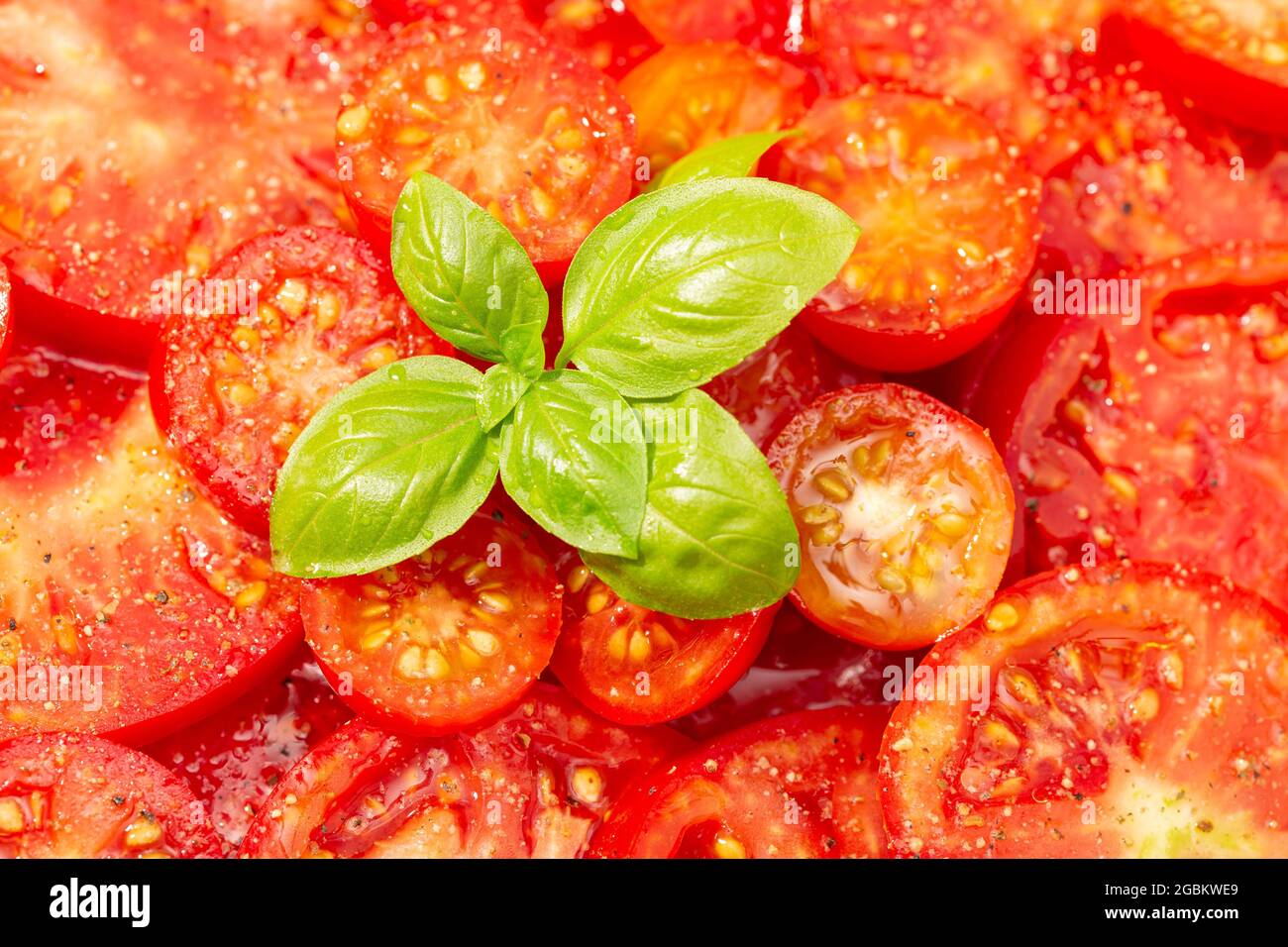 Primo piano di una gustosa insalata di pomodoro con foglie di basilico. Cucina mediterranea Foto Stock