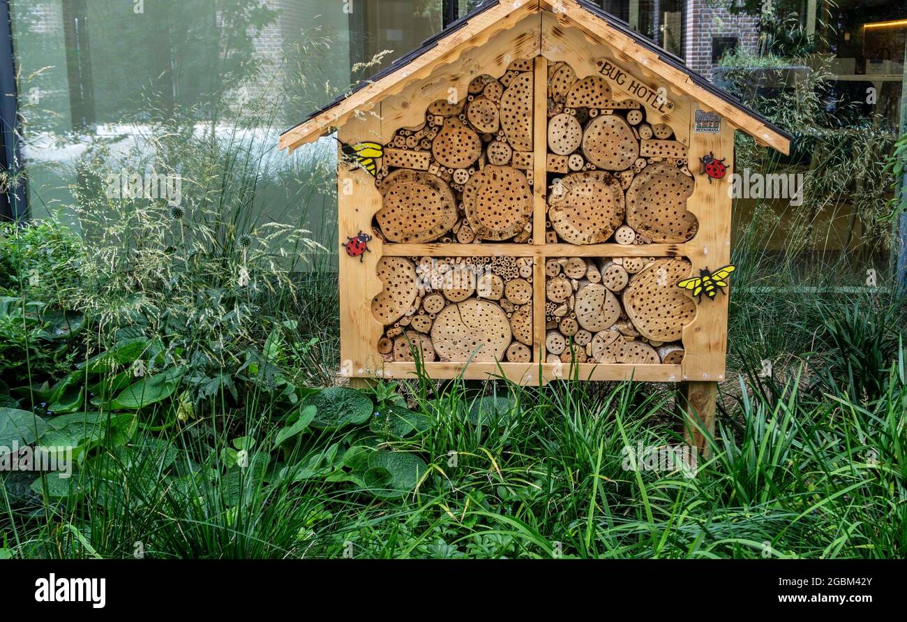 Un bug hotel situato all'esterno di un complesso di uffici a Dublino, Irlanda. Foto Stock
