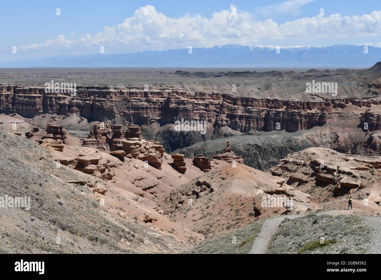 Kazakistan, Charyn Canyon, Valle dei castelli, panorama Foto Stock