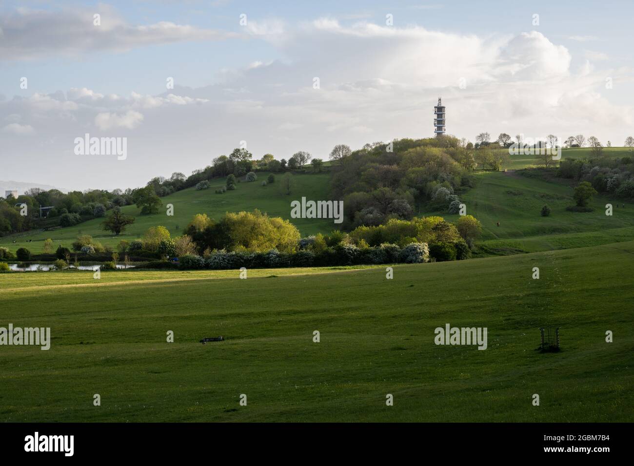 La luce serale splende sugli alberi e sui prati di Stoke Park a North Bristol, con il trasmettitore Purdown BT in lontananza. Foto Stock