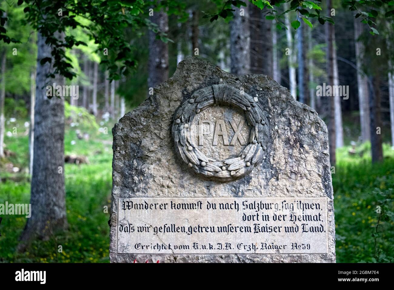 Pietra commemorativa nel Cimitero della Grande Guerra al 59° Reggimento austriaco - Rainer. Altopiano dei Fiorentini, Arsiero, provincia di Vicenza, Veneto, Italia, Europa. Foto Stock