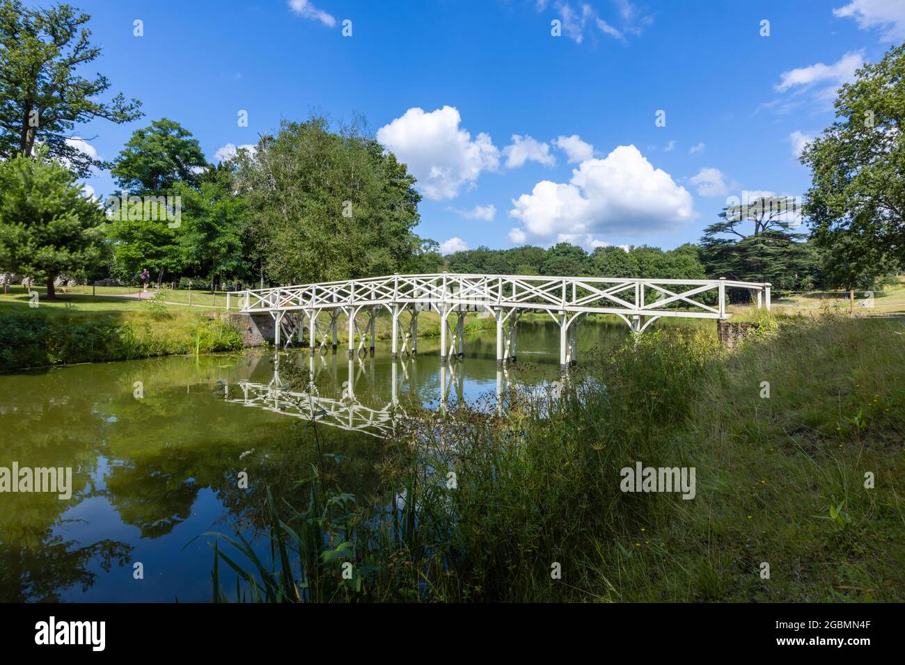 Ricostruito ponte cinese in legno bianco nel Hamilton Paesaggi di Paishill Park, giardini paesaggistici a Cobham, Surrey, Inghilterra sud-orientale, Regno Unito Foto Stock
