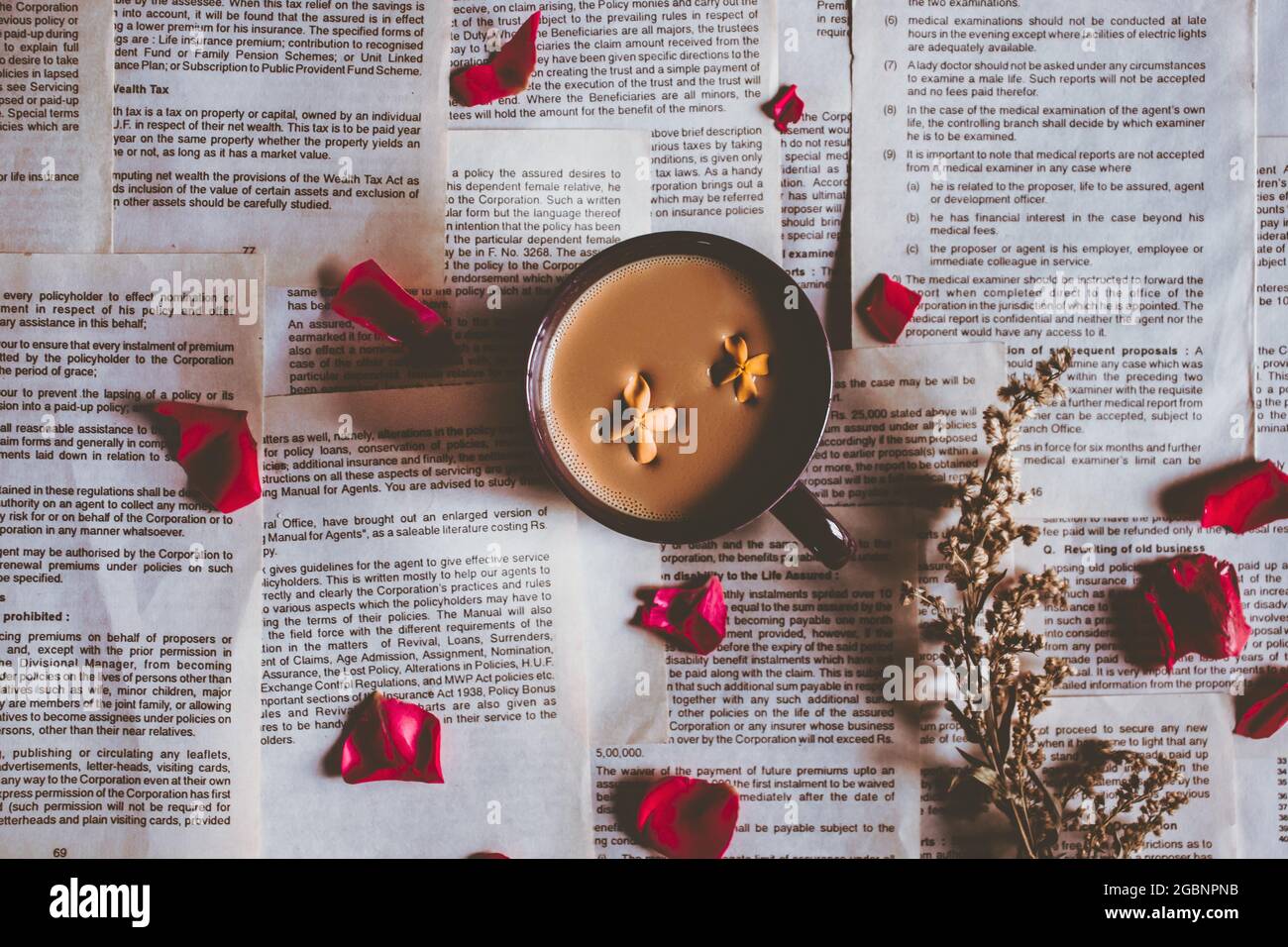 Vista dall'alto di una tazza di caffè e petali di rosa sulle pagine di libri strappate Foto Stock