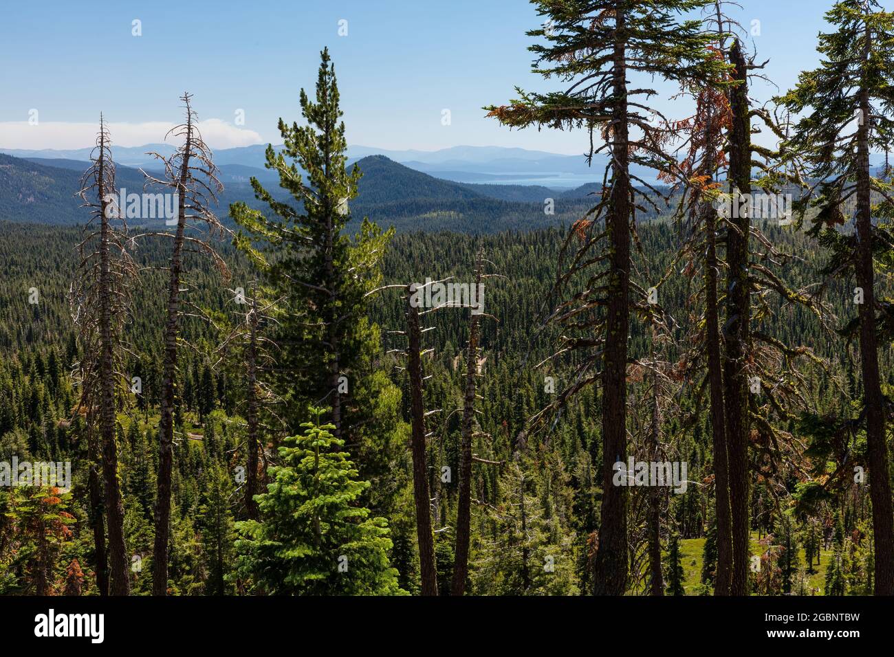 Guardando verso il lago Almanor e le montagne della Sierra Nevada dalla Lassen Volcanic National Park Highway, Lassen Volcanic National Park, California Foto Stock