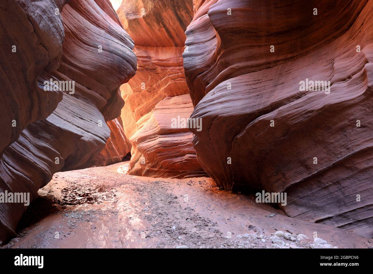 Geografia / viaggio, Stati Uniti, Utah, Vermillion Cliffs Wilderness, Buckskin Gulch, SLOT CANYON, INFORMAZIONI-DI-AUTORIZZAZIONE-DIRITTI-AGGIUNTIVI-NON-DISPONIBILI Foto Stock