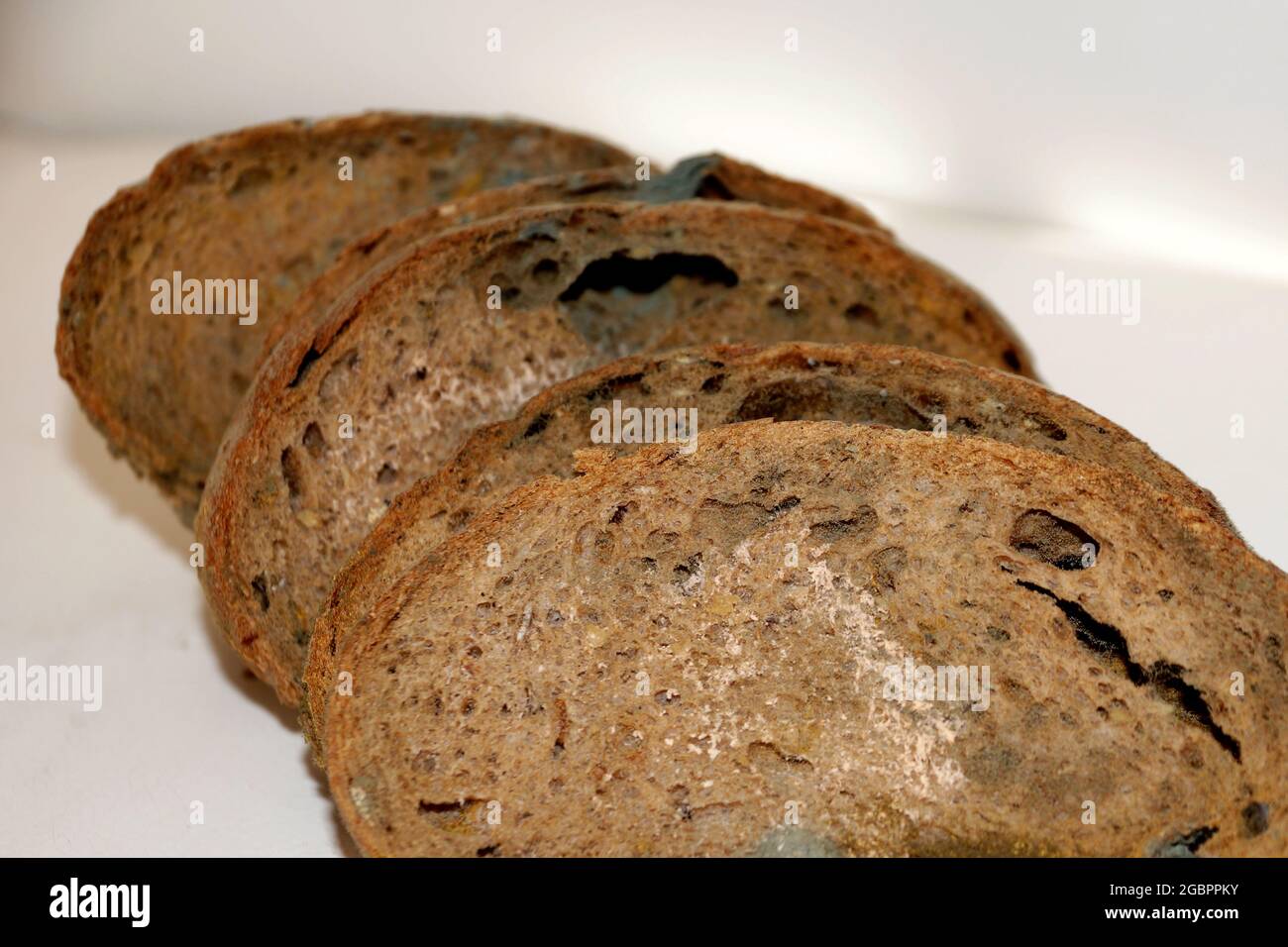 pezzi di pane di segale con primo piano di muffa bianca e nera Foto stock -  Alamy