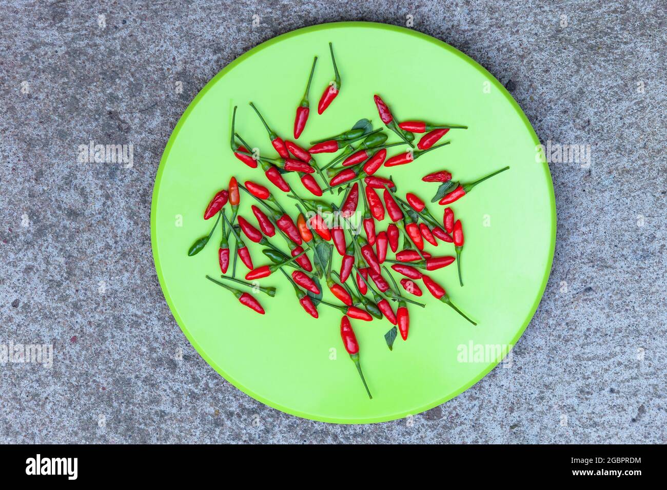Spezie piatto verde di peperoncino rosso i peperoni fuori piante per cucinare gli ingredienti di spezie calde ai sapori di cibo di curie. Immagine fotografica a soffitto su pavimento in cemento. Foto Stock